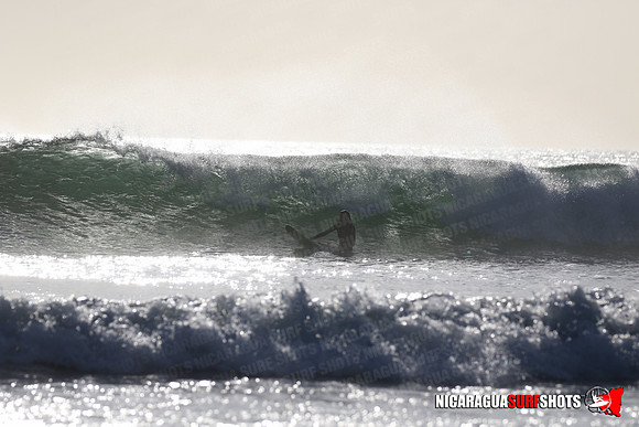 NSR_0274_Panga_Drops_January_23_2022_LR