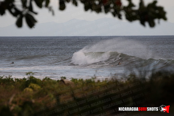 NSR_0005_Panga_Drops_January_31_2022_Logo