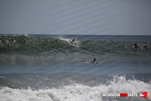 NSR_0688_Panga_Drops_April_11_2021_LR