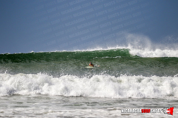 NSR_0507_Panga_Drops_January_25_2022_CC_Logo
