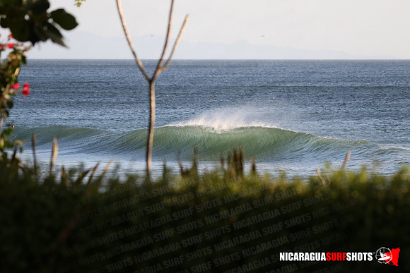 NSR_0019_Panga_Drops_January_18_2022_LR