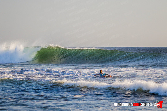 NSR_0591_Panga_Drops_January_18_2022_CC_Logo