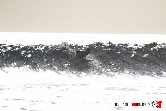 NSR_0281_Panga_Drops_January_23_2022_LR