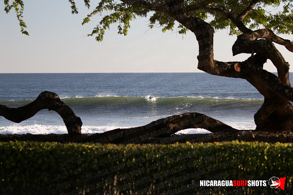 NSR_0019_Panga_Drops_February_02_2022_LR