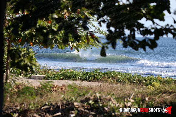 NSR_0018_Panga_Drops_January_16_2022_LR