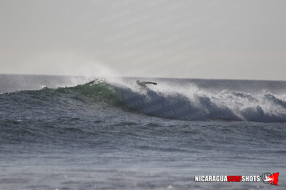 NSR_0417_Panga_Drops_January_23_2022_LR