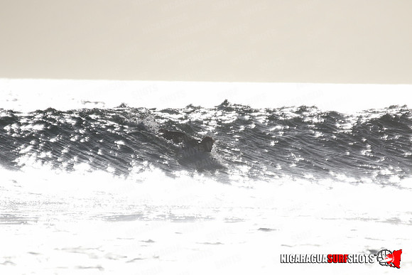 NSR_0278_Panga_Drops_January_23_2022_LR