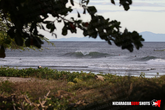 NSR_0130_Panga_Drops_January_26_2022_LR