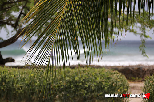 NSR_0009_2021_Panga_Drops_April_06_2021_LR