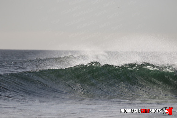 NSR_0323_Panga_Drops_January_23_2022_LR