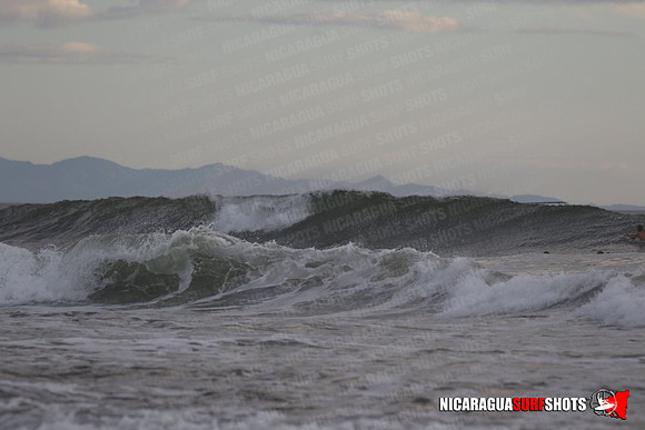 NSR_0617_Panga_Drops_January_26_2022_LR