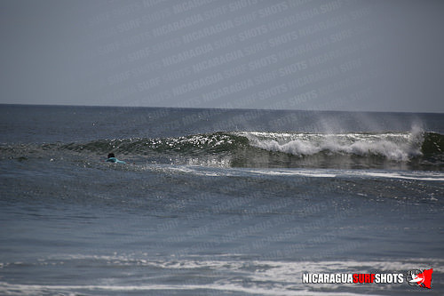 NSR_0618_Panga_Drops_April_11_2021_LR