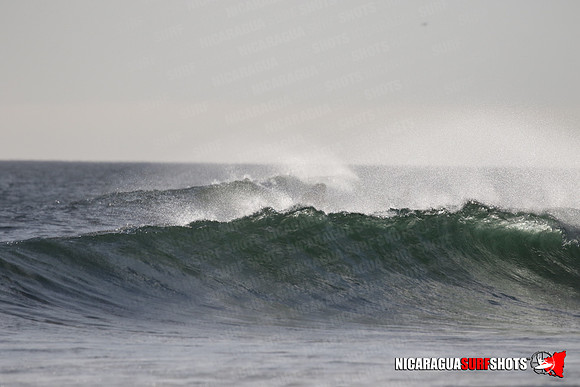 NSR_0322_Panga_Drops_January_23_2022_LR