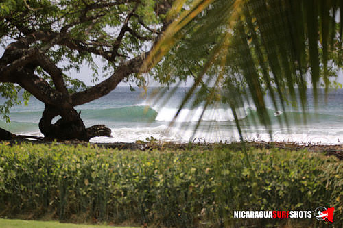 NSR_0006_2021_Panga_Drops_April_06_2021_LR