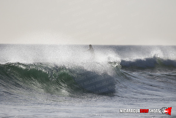 NSR_0440_Panga_Drops_January_23_2022_LR