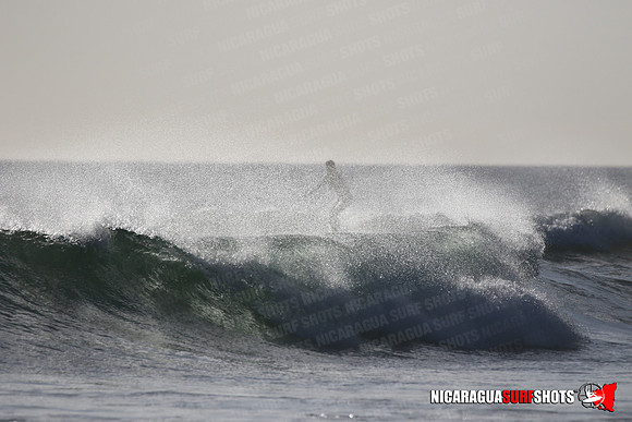 NSR_0442_Panga_Drops_January_23_2022_LR