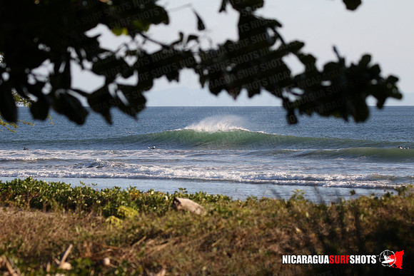 NSR_0093_Panga_Drops_January_16_2022_LR