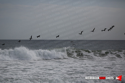 NSR_0798_Colorados_PM_April_13_2021_Logo
