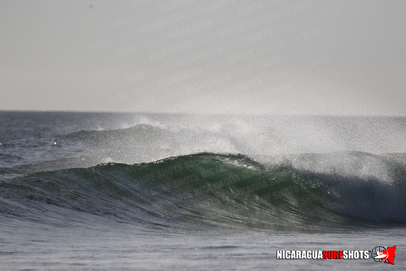 NSR_0325_Panga_Drops_January_23_2022_LR
