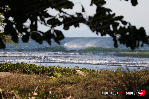 NSR_0102_Panga_Drops_January_16_2022_LR