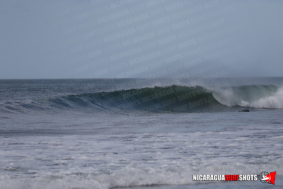 NSS_0077_Panga_Drops_January_29_2022_LR