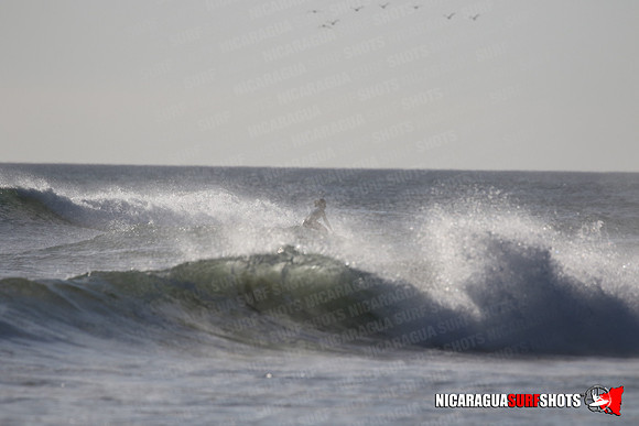 NSR_0329_Panga_Drops_January_23_2022_LR