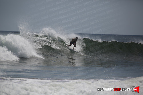 NSR_0718_Panga_Drops_April_11_2021_LR