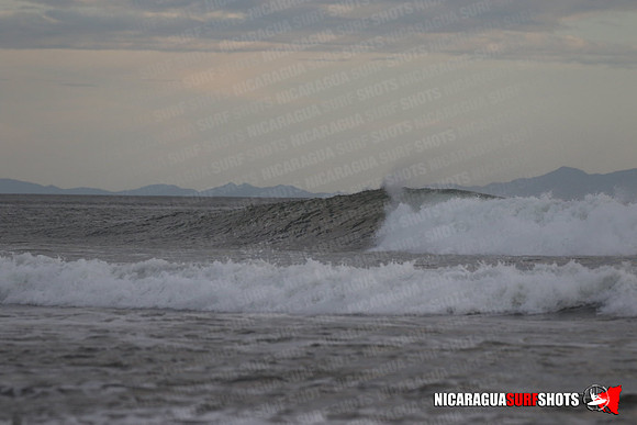 NSR_0618_Panga_Drops_January_26_2022_LR