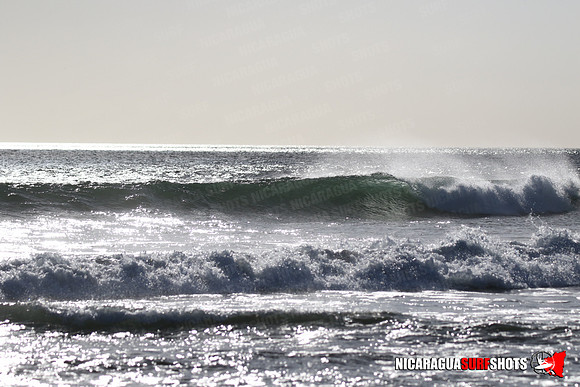 NSR_0067_Panga_Drops_January_23_2022_LR