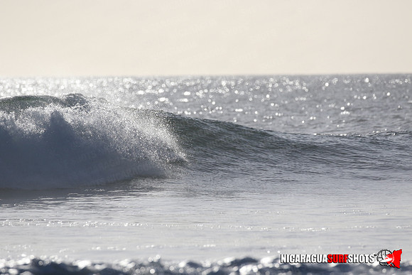 NSR_0336_Panga_Drops_January_23_2022_LR