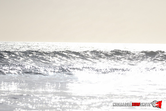NSR_0270_Panga_Drops_January_23_2022_LR