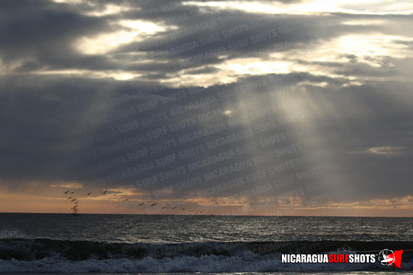 NSR_0670_Panga_Drops_January_26_2022_LR