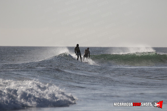 NSR_0356_Panga_Drops_January_23_2022_LR