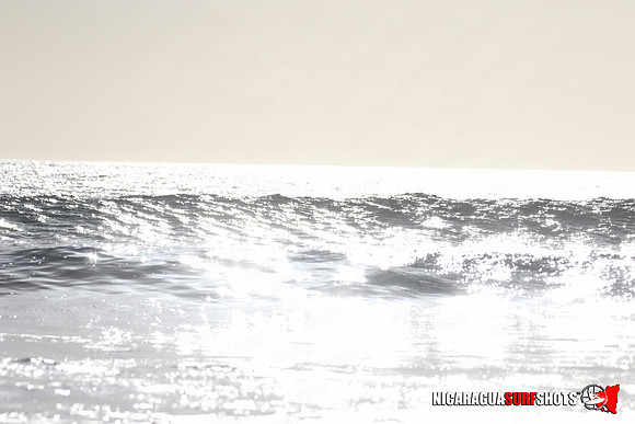 NSR_0271_Panga_Drops_January_23_2022_LR