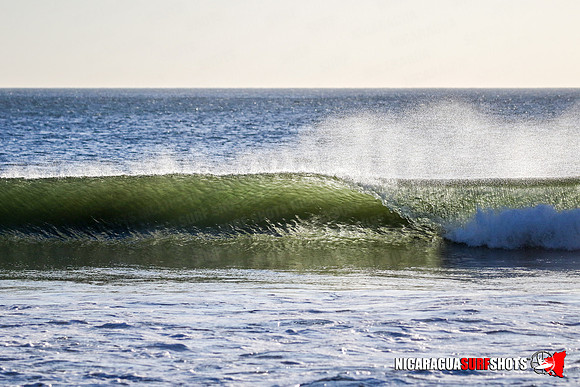 NSR_0065_Panga_Drops_January_19_2022_CC_Logo