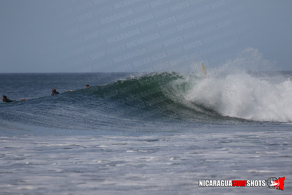 NSS_0160_Panga_Drops_January_29_2022_LR