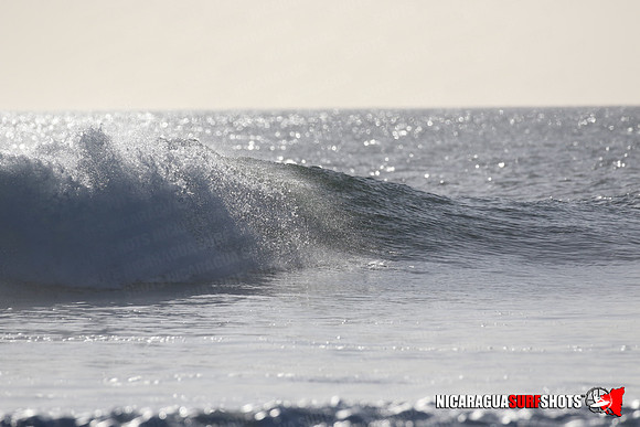NSR_0337_Panga_Drops_January_23_2022_LR