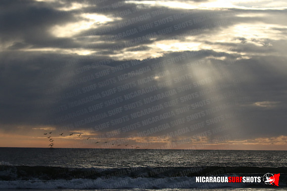 NSR_0669_Panga_Drops_January_26_2022_LR