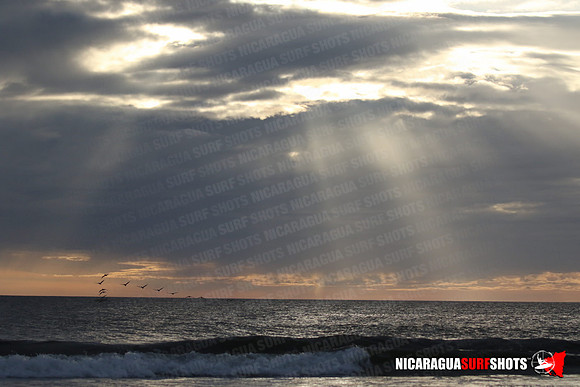 NSR_0662_Panga_Drops_January_26_2022_LR