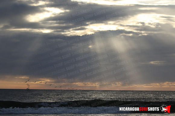 NSR_0666_Panga_Drops_January_26_2022_LR