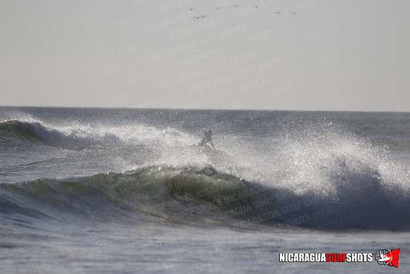 NSR_0330_Panga_Drops_January_23_2022_LR