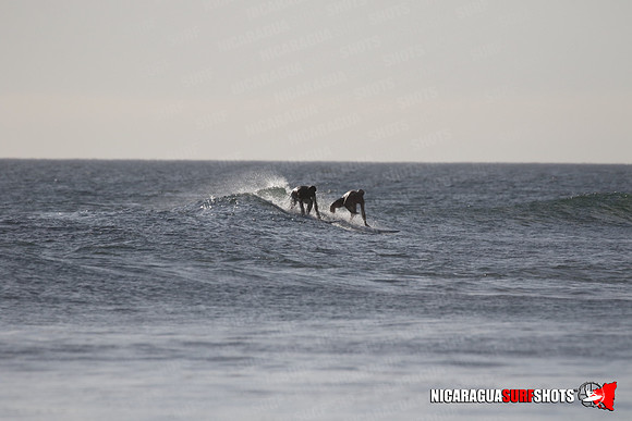 NSR_0341_Panga_Drops_January_23_2022_LR