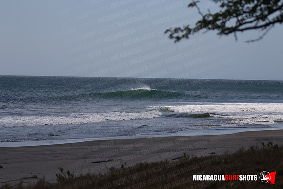 NSR_0015_Panga_Drops_January_17_2022_LR