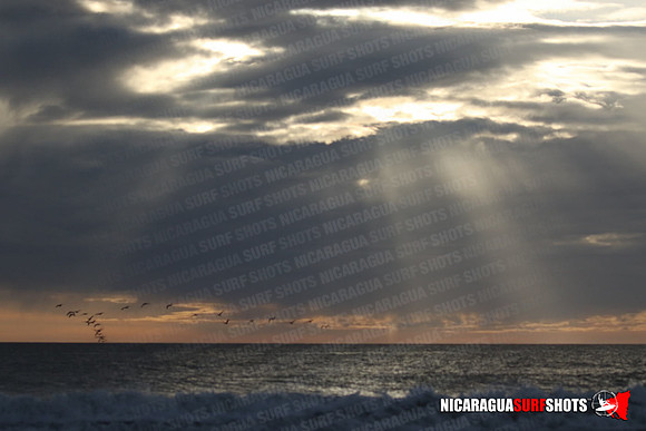 NSR_0679_Panga_Drops_January_26_2022_LR