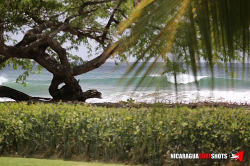 NSR_0002_2021_Panga_Drops_April_06_2021_LR