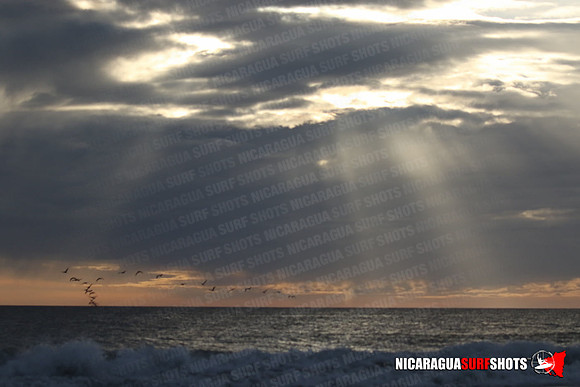 NSR_0676_Panga_Drops_January_26_2022_LR