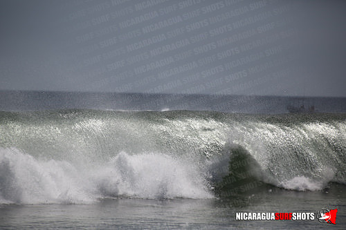 NSR_0630_Panga_Drops_April_11_2021_LR