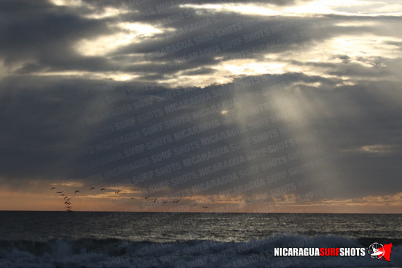 NSR_0673_Panga_Drops_January_26_2022_LR