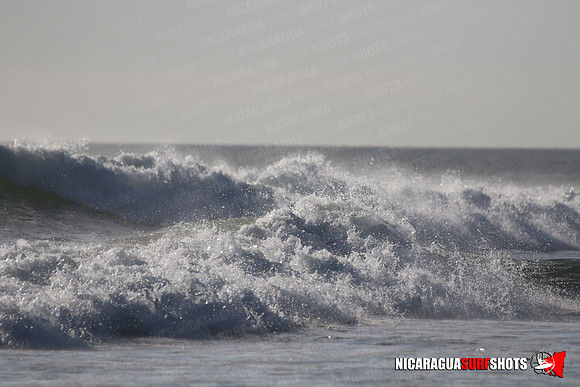 NSR_0214_Panga_Drops_January_23_2022_LR