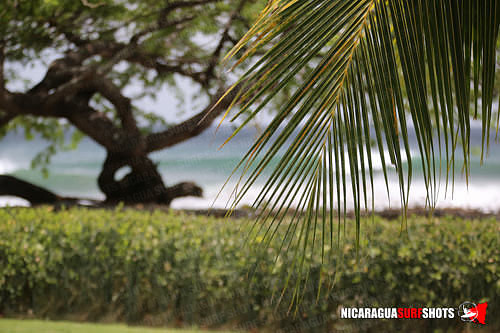 NSR_0003_2021_Panga_Drops_April_06_2021_LR
